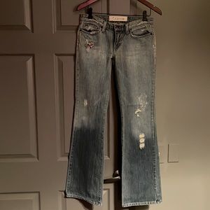 Joe's Jeans Women's Size 27 Floral Embroidered Light Denim Havens